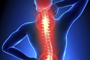 Back Pain -Licensed Massage Therapist