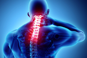 Neck Pain -Licensed Massage Therapist